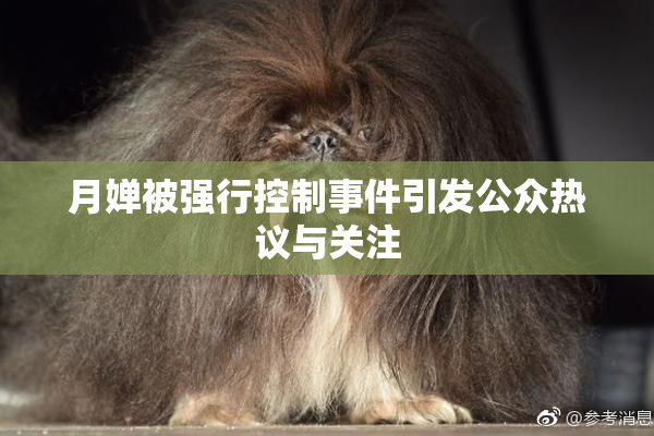 月婵被强行控制事件引发公众热议与关注