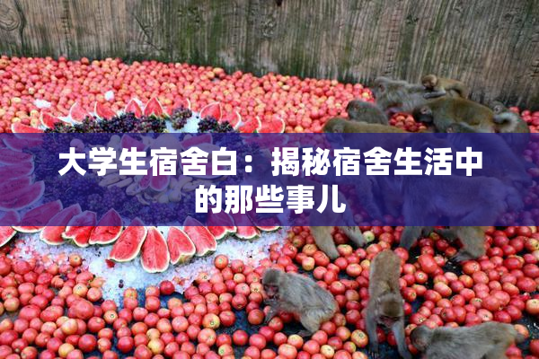 大学生宿舍白：揭秘宿舍生活中的那些事儿