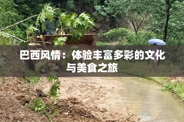 巴西风情：体验丰富多彩的文化与美食之旅