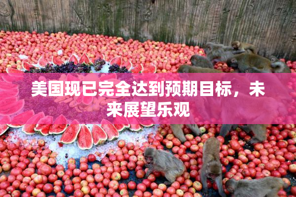 美国现已完全达到预期目标，未来展望乐观