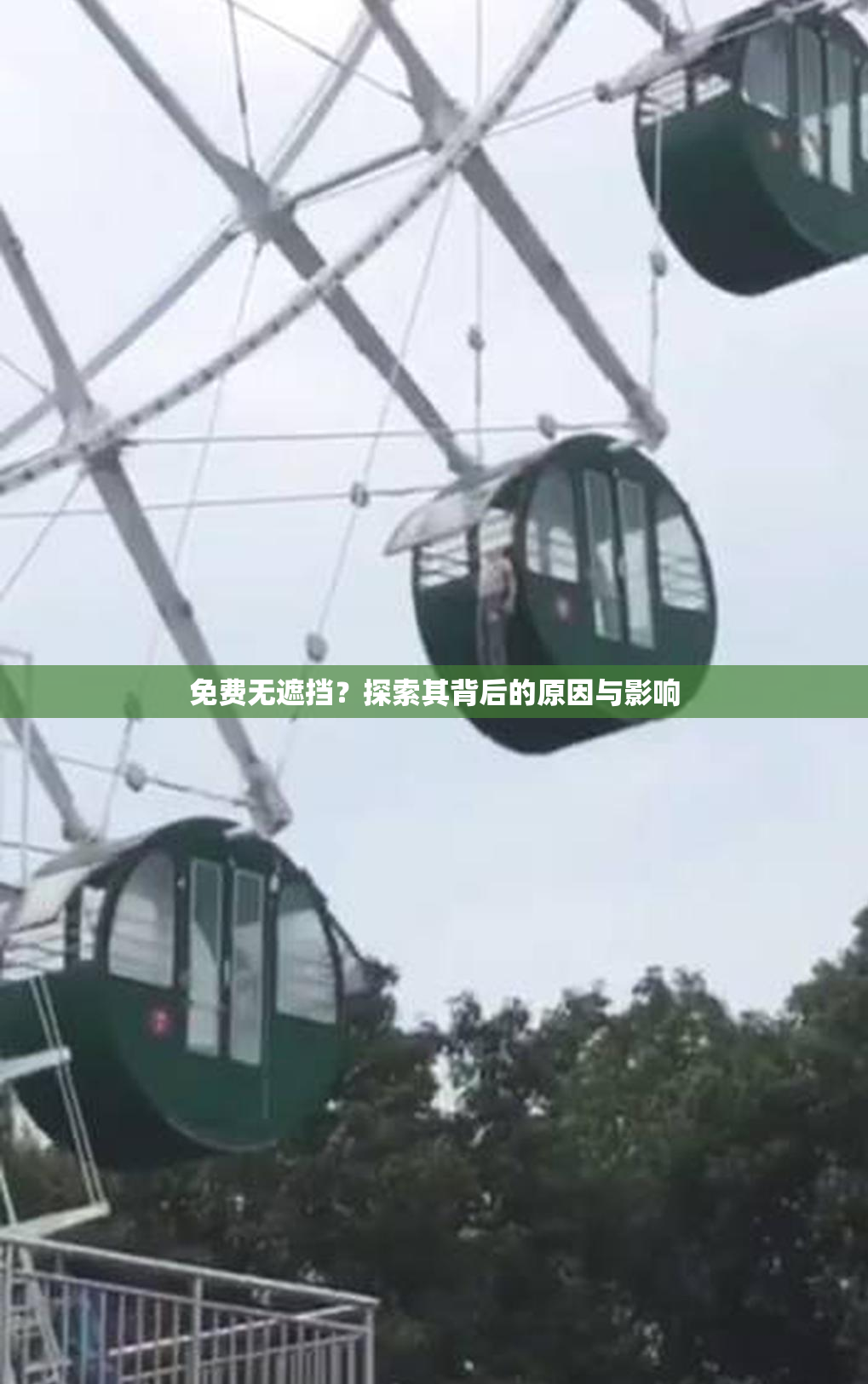 免费无遮挡？探索其背后的原因与影响