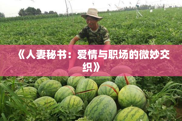 《人妻秘书：爱情与职场的微妙交织》