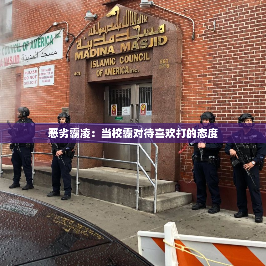 恶劣霸凌：当校霸对待喜欢打的态度