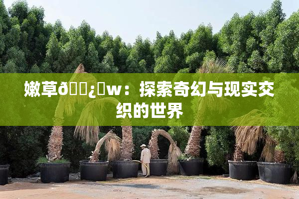 嫩草🌿‌w：探索奇幻与现实交织的世界