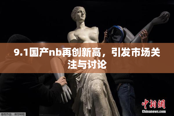 9.1国产nb再创新高，引发市场关注与讨论