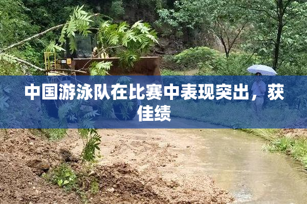 中国游泳队在比赛中表现突出，获佳绩