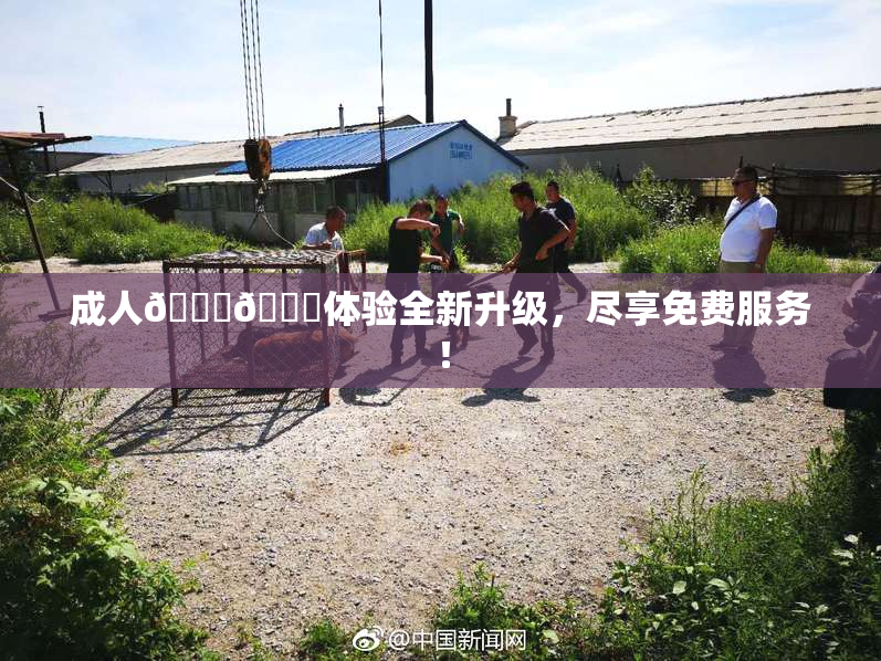 成人🍆🍑体验全新升级，尽享免费服务！