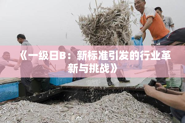 《一级日B：新标准引发的行业革新与挑战》