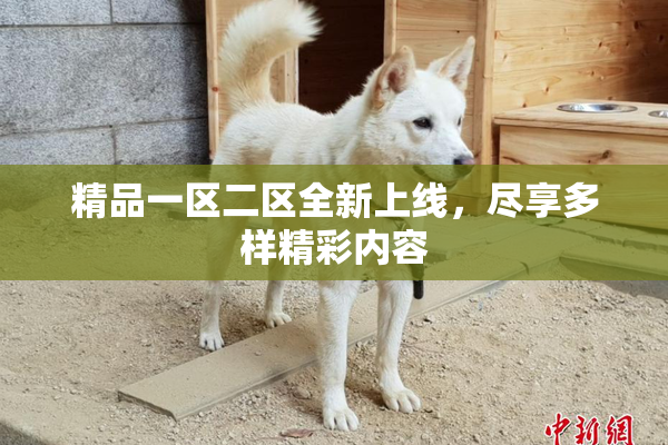精品一区二区全新上线，尽享多样精彩内容