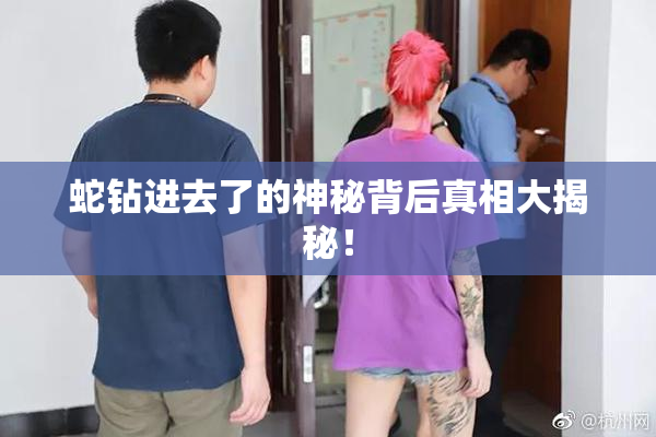 蛇钻进去了的神秘背后真相大揭秘！