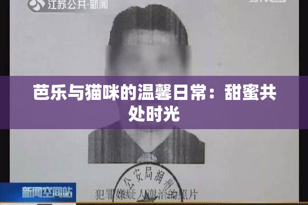 芭乐与猫咪的温馨日常：甜蜜共处时光