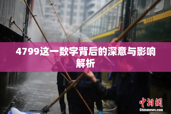 4799这一数字背后的深意与影响解析