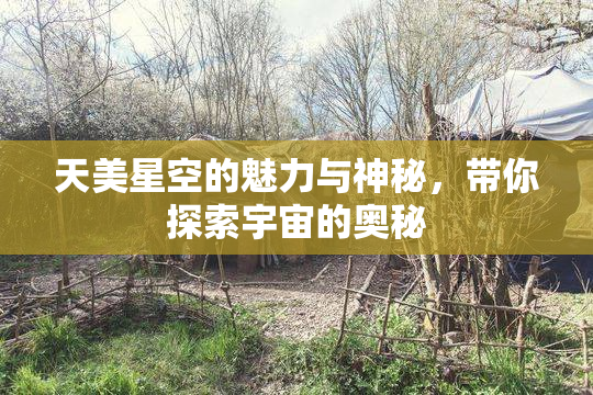 天美星空的魅力与神秘，带你探索宇宙的奥秘