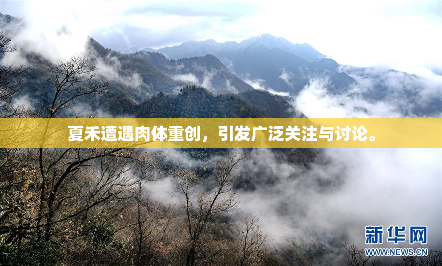 夏禾遭遇肉体重创，引发广泛关注与讨论。
