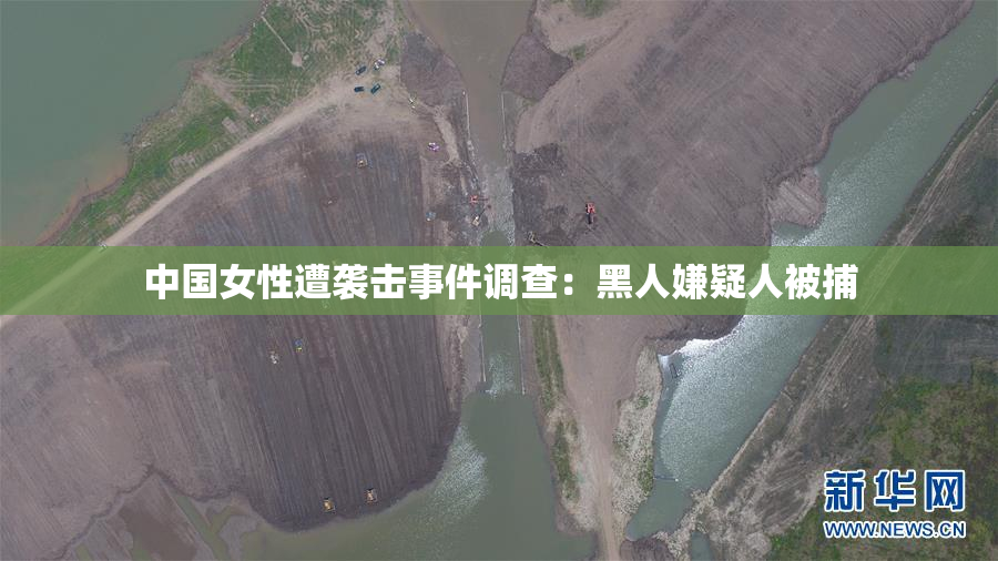 中国女性遭袭击事件调查：黑人嫌疑人被捕