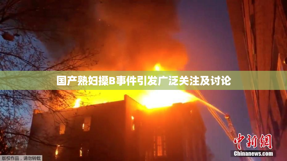 国产熟妇搡B事件引发广泛关注及讨论