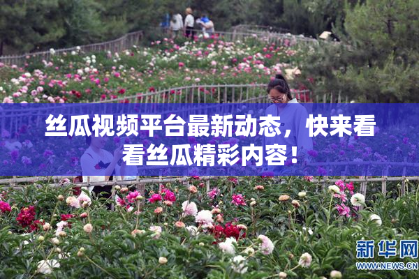 丝瓜视频平台最新动态，快来看看丝瓜精彩内容！