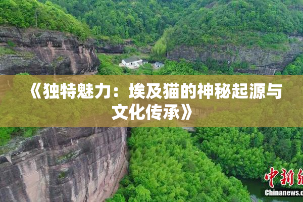 《独特魅力：埃及猫的神秘起源与文化传承》