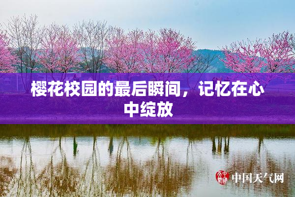 樱花校园的最后瞬间，记忆在心中绽放