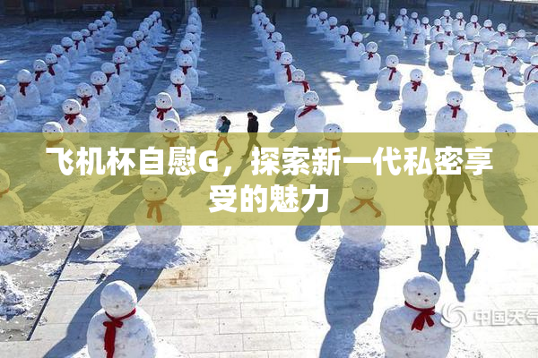 飞机杯自慰G，探索新一代私密享受的魅力