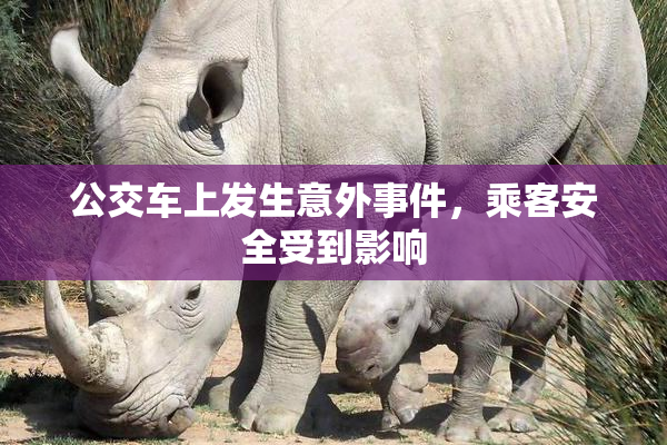 公交车上发生意外事件，乘客安全受到影响