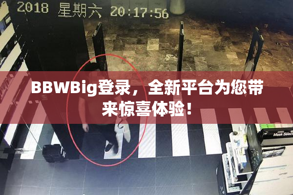 BBWBig登录，全新平台为您带来惊喜体验！