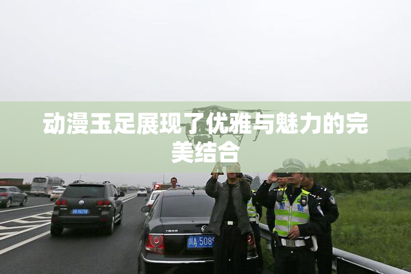 动漫玉足展现了优雅与魅力的完美结合