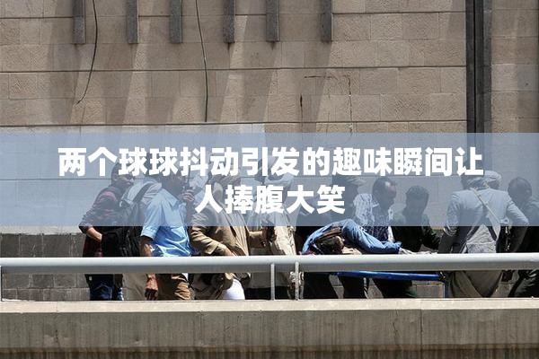 两个球球抖动引发的趣味瞬间让人捧腹大笑