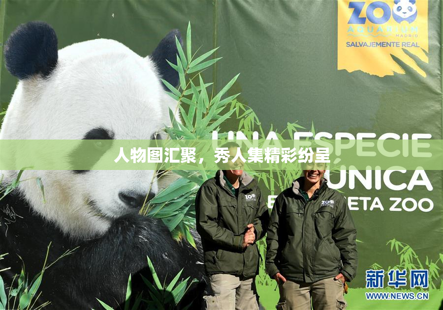 人物图汇聚，秀人集精彩纷呈