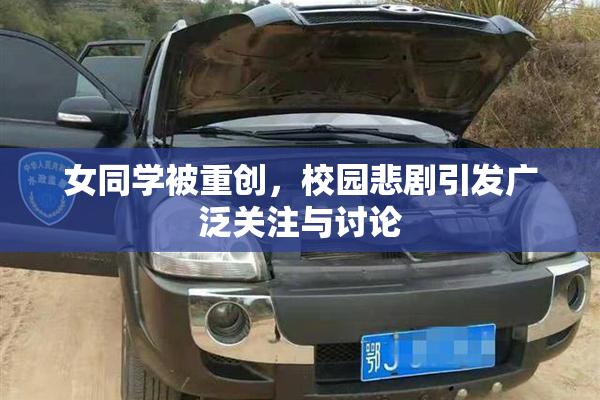 女同学被重创，校园悲剧引发广泛关注与讨论