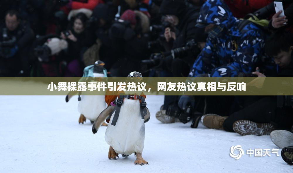 小舞裸露事件引发热议，网友热议真相与反响