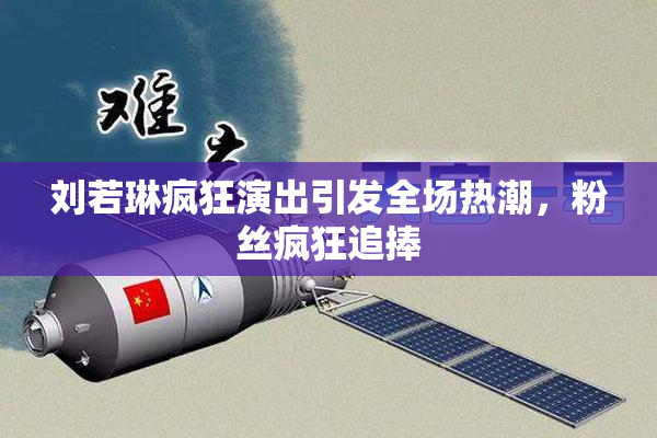 刘若琳疯狂演出引发全场热潮，粉丝疯狂追捧