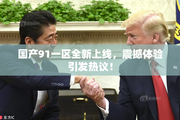 国产91一区全新上线，震撼体验引发热议！