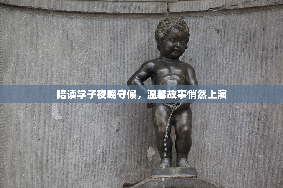 陪读学子夜晚守候，温馨故事悄然上演