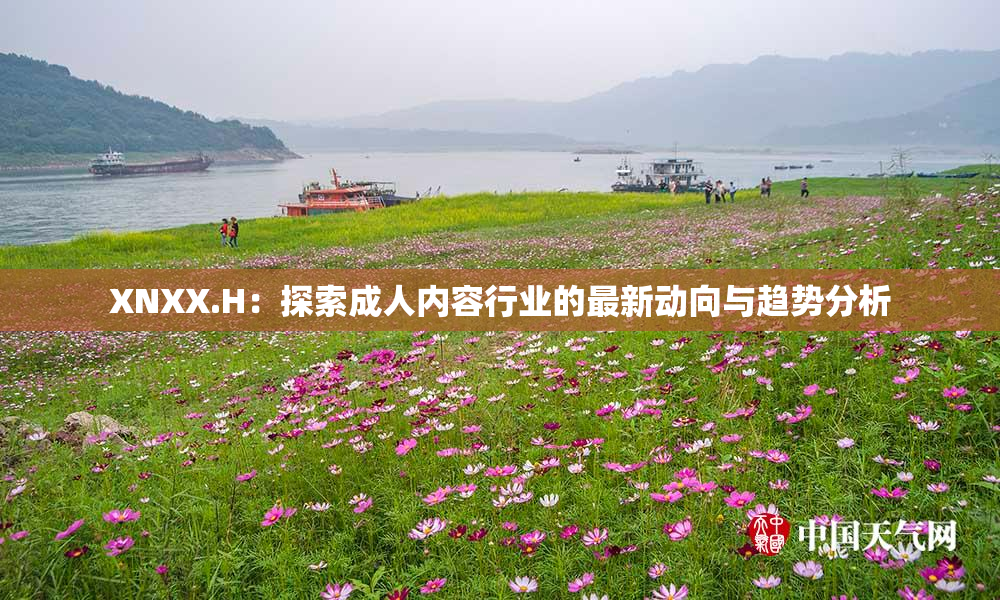 XNXX.H：探索成人内容行业的最新动向与趋势分析