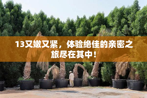 13又嫩又紧，体验绝佳的亲密之旅尽在其中！