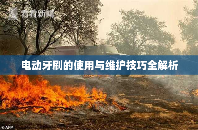 电动牙刷的使用与维护技巧全解析