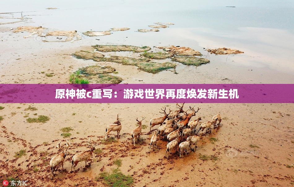 原神被c重写：游戏世界再度焕发新生机
