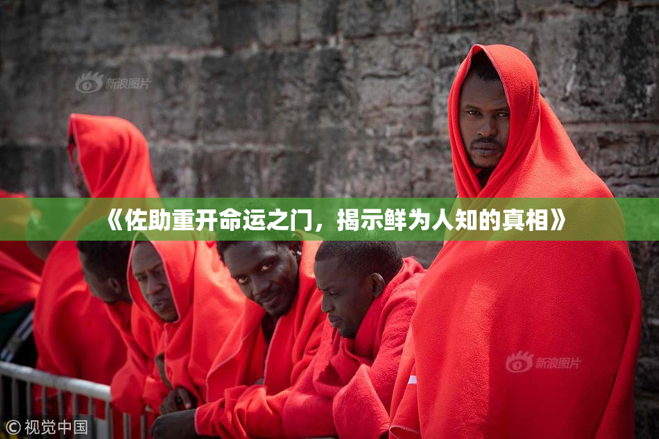 《佐助重开命运之门，揭示鲜为人知的真相》