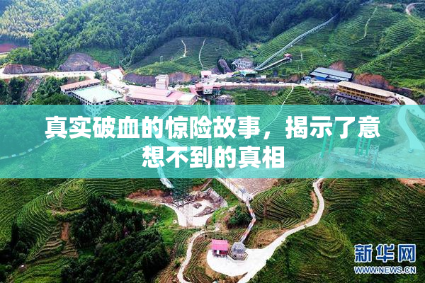 真实破血的惊险故事，揭示了意想不到的真相