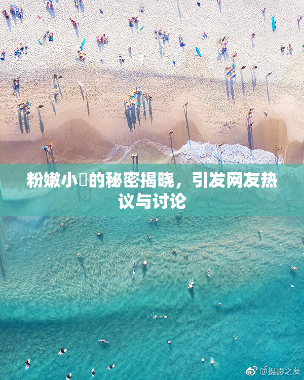 粉嫩小泬的秘密揭晓，引发网友热议与讨论