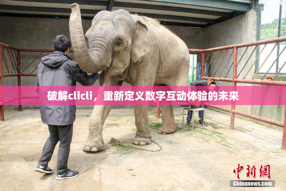 破解clicli，重新定义数字互动体验的未来
