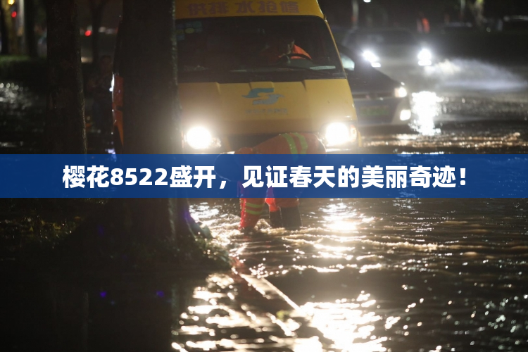 樱花8522盛开，见证春天的美丽奇迹！