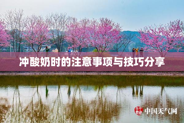 冲酸奶时的注意事项与技巧分享