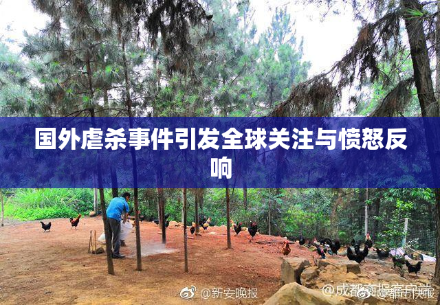 国外虐杀事件引发全球关注与愤怒反响