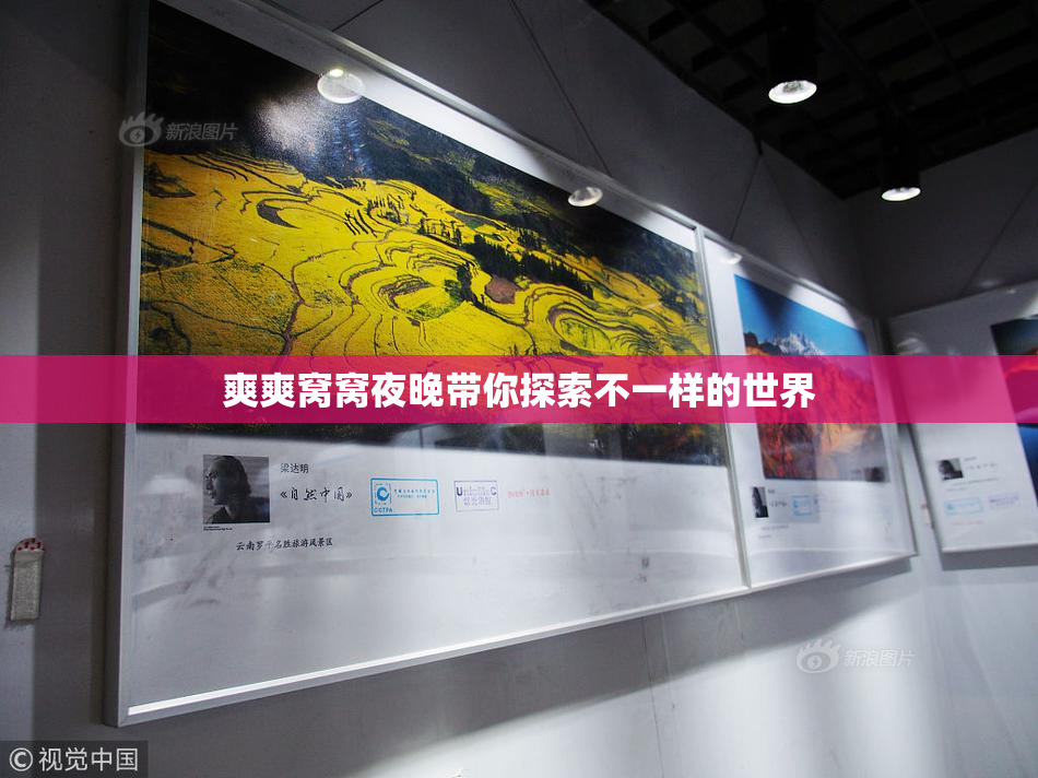 爽爽窝窝夜晚带你探索不一样的世界