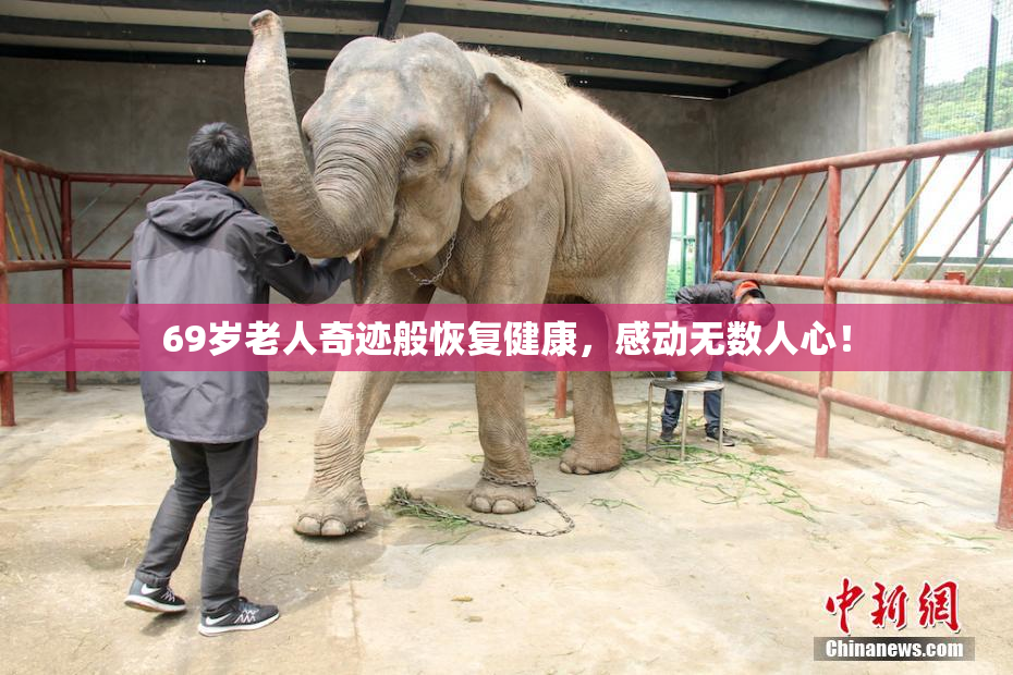 69岁老人奇迹般恢复健康，感动无数人心！