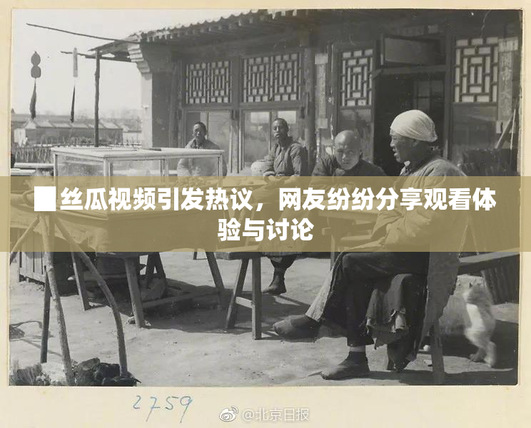 ▉丝瓜视频引发热议，网友纷纷分享观看体验与讨论