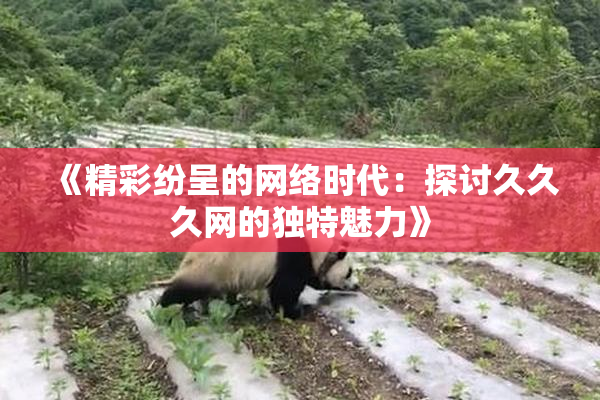 《精彩纷呈的网络时代：探讨久久久网的独特魅力》