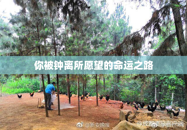 你被钟离所愿望的命运之路